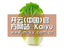 产品名称一