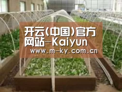 环境展示五