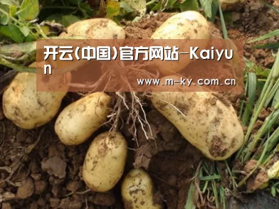 种植基地六