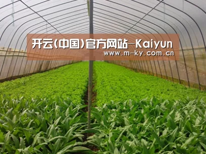 种植基地四