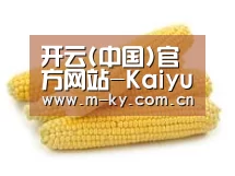 产品名称五