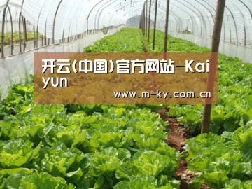 种植基地五