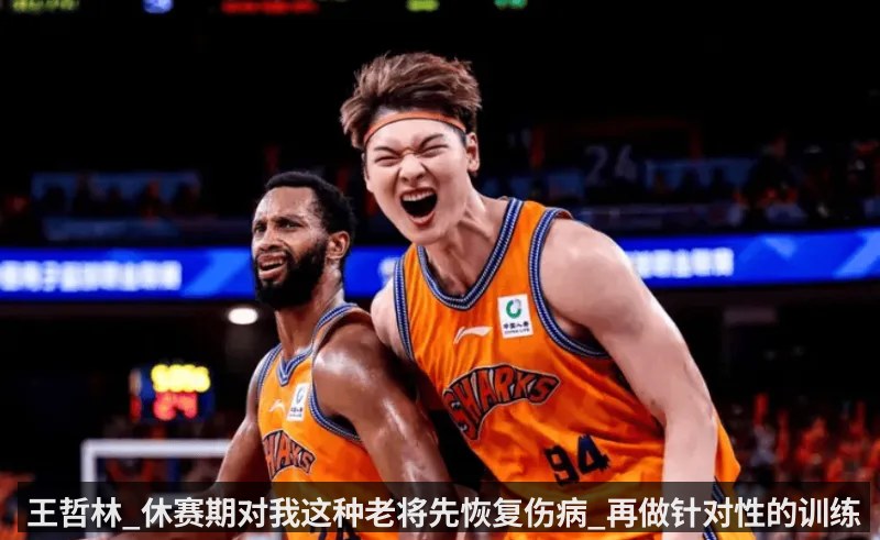 王哲林_休赛期对我这种老将先恢复伤病_再做针对性的训练